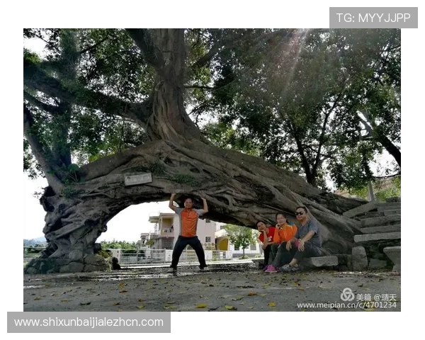 dg视讯啥意思带你全面认识这个新兴的视讯平台的特色功能与用户评价