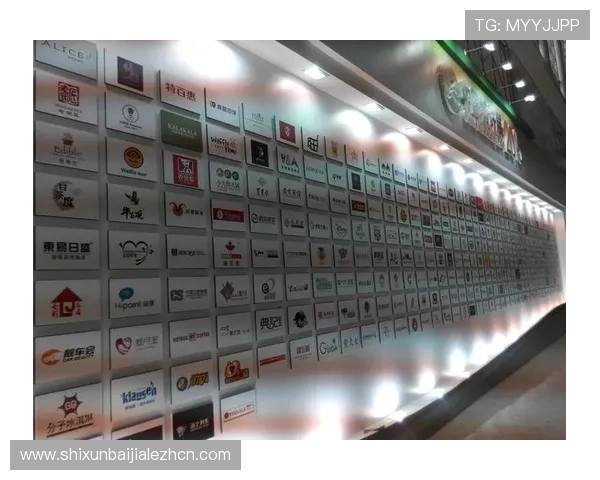 ob视讯是哪个平台的详细介绍及其所属平台的最新信息解析