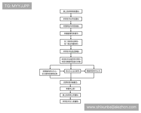 AG真人国际厅代理操作流程详解以及常见问题解决方案