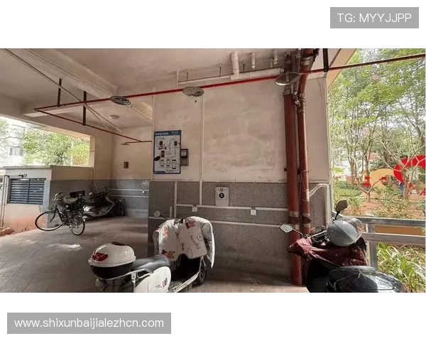 电竞真人秀落地成双选手招募合作伙伴招募共创电竞娱乐新纪元实现多方共赢