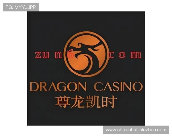 尊龙凯时百家乐多样化游戏模式满足不同玩家的娱乐需求与体验