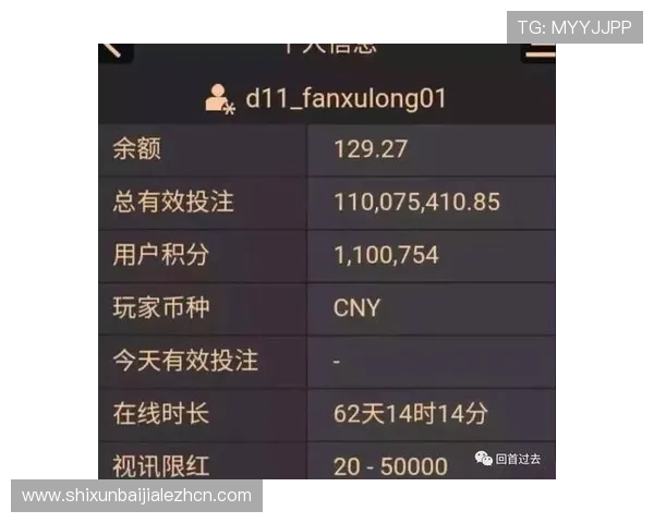 问鼎百家乐官网提供的多样化百家乐游戏类型及其玩法技巧详解
